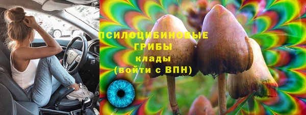 МДМА Алексеевка