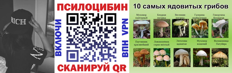 как найти Белореченск Галлюциногенные грибы мухоморы