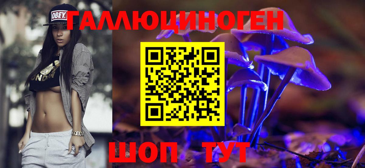 Белореченск  Галлюциногенные грибы Psilocybe  Псилоцибиновые грибы Psilocybine cubensis  Вход с VPN 