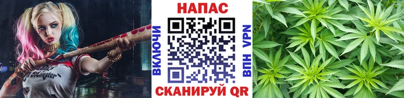 где найти   Белореченск  МАРИХУАНА Ganja 